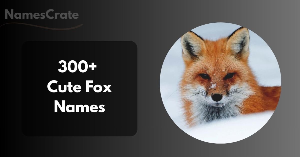 Cute Fox Names