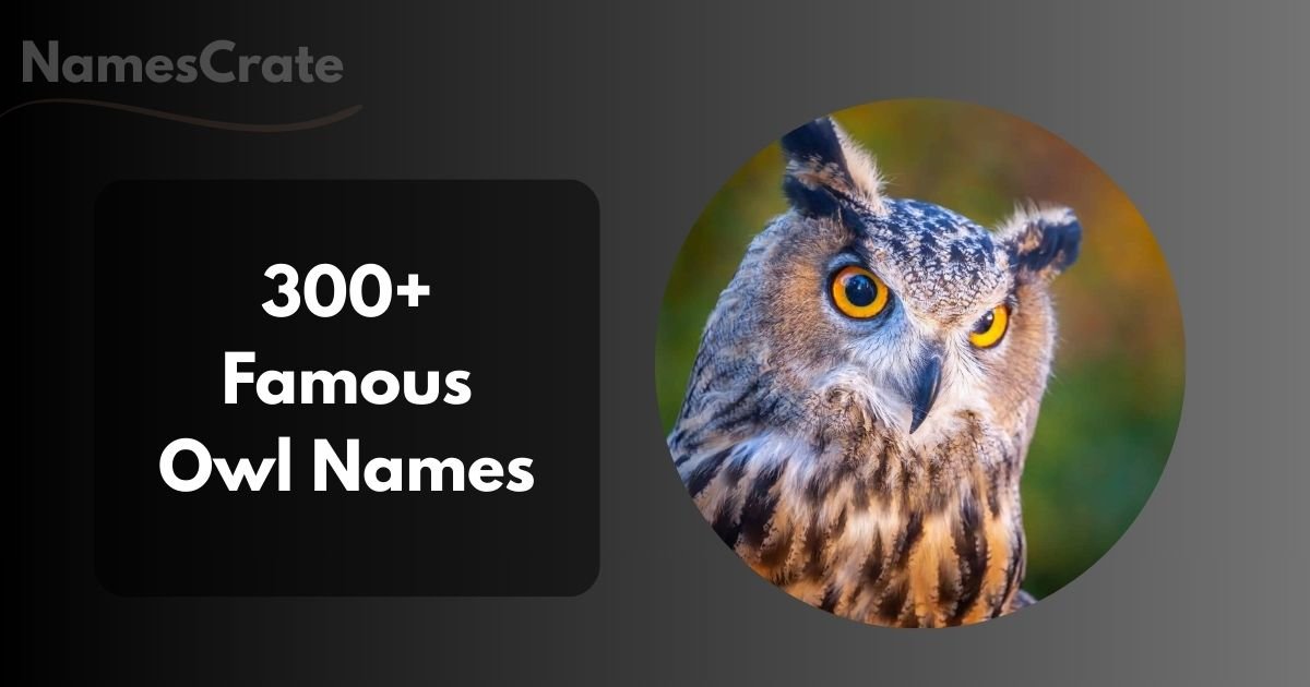 Famous Owl Names