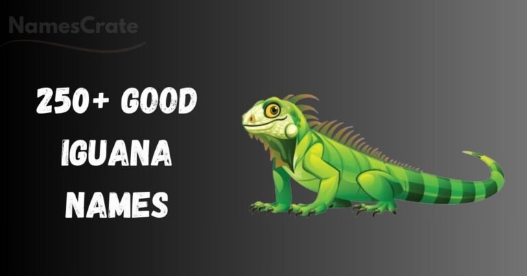 Good Iguana Names