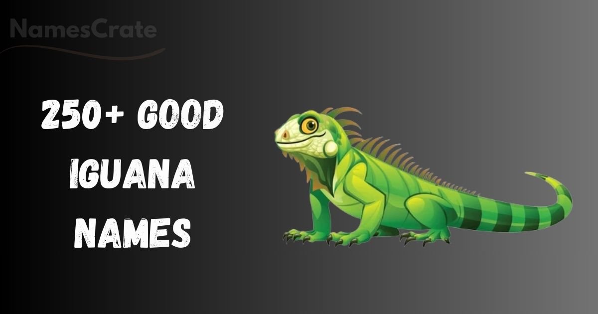 Good Iguana Names