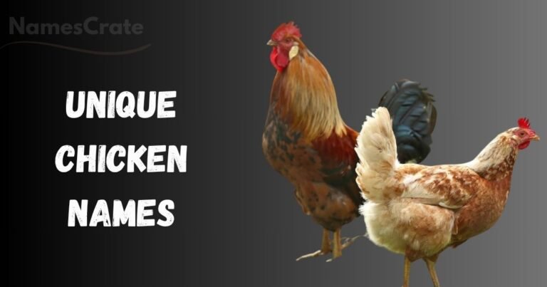 Unique Chicken Names