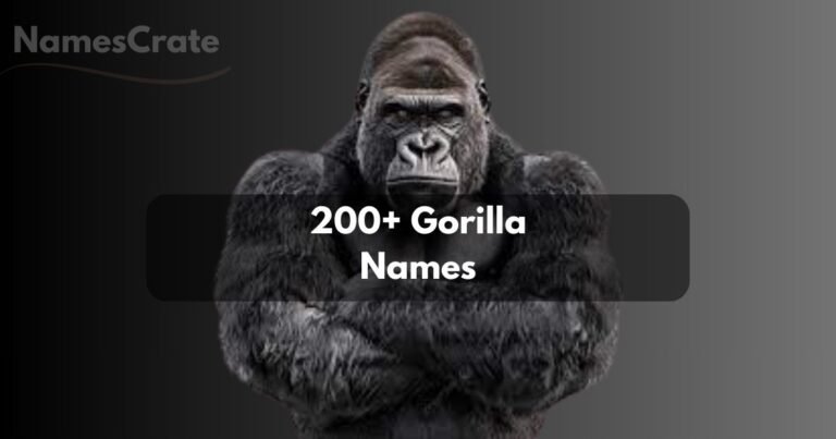 Gorilla Names