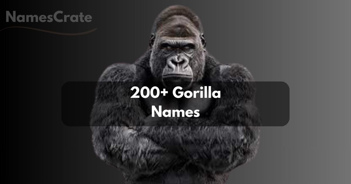 Gorilla Names
