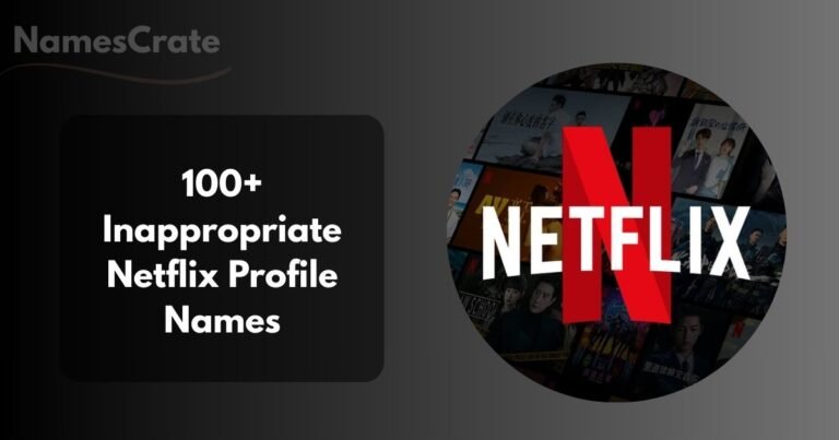 Inappropriate Netflix Profile Names