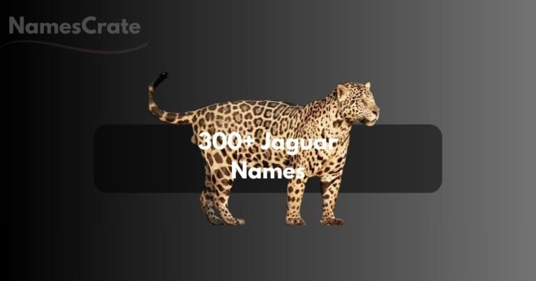 Jaguar Names