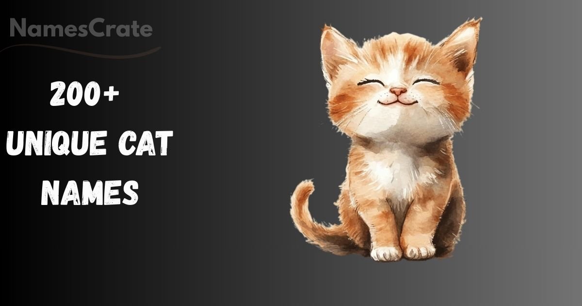 Unique Cat Names