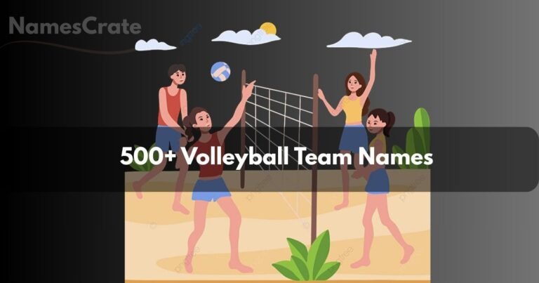 Volleyball Team Names