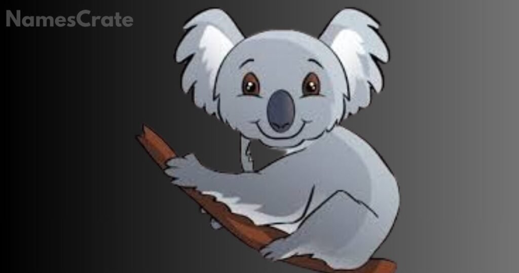 Amazing Koala Names 