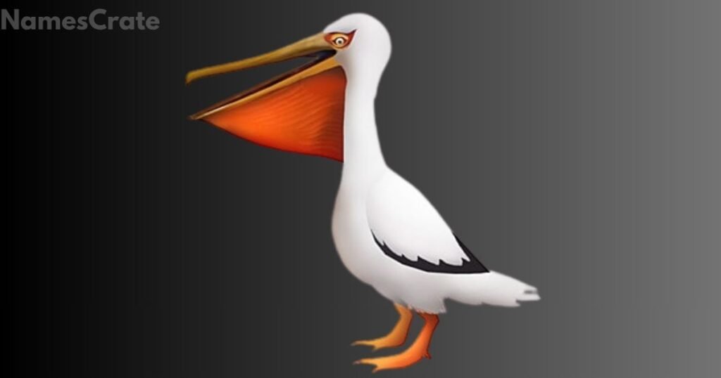 Amazing Pelican Names