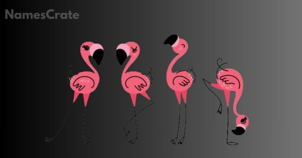 Cute Names for Flamingos