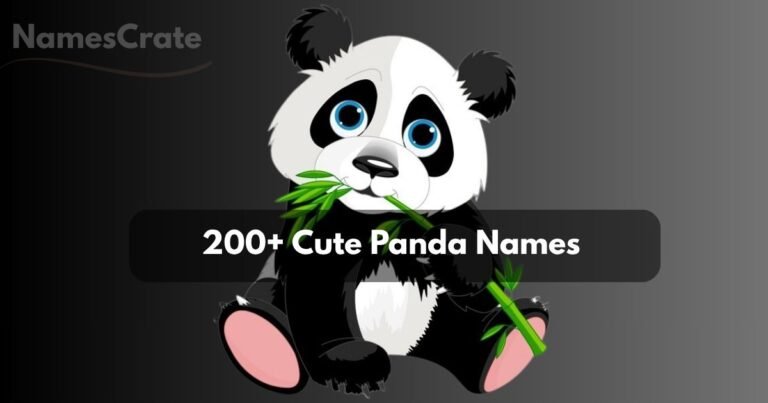 Cute Panda Names