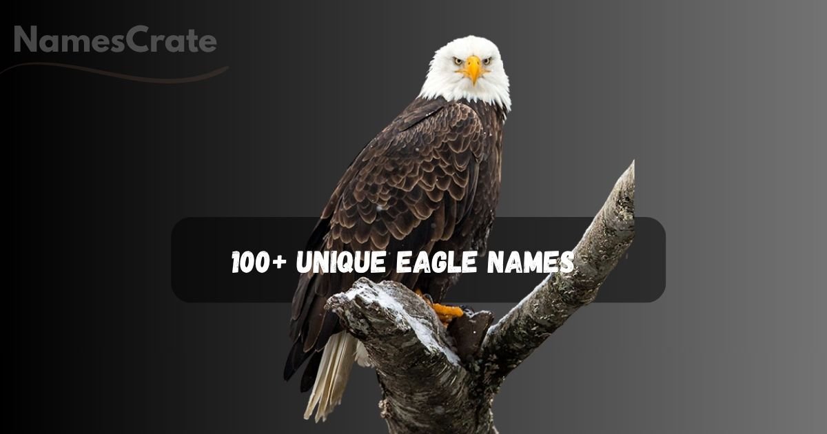 Eagle Names