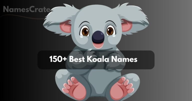 Koala Names