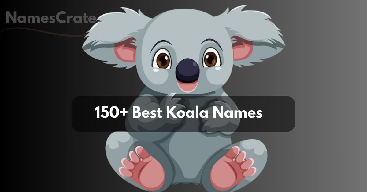 Koala Names