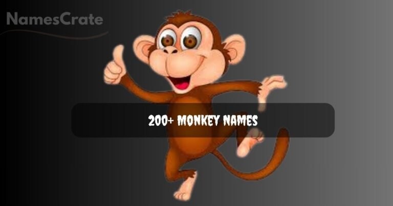 Monkey Names