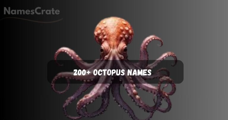Octopus Names