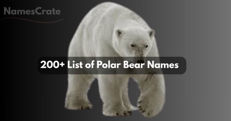 Polar Bear Names