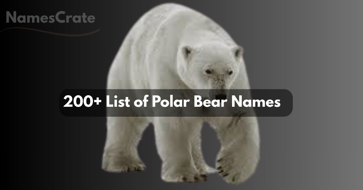 Polar Bear Names