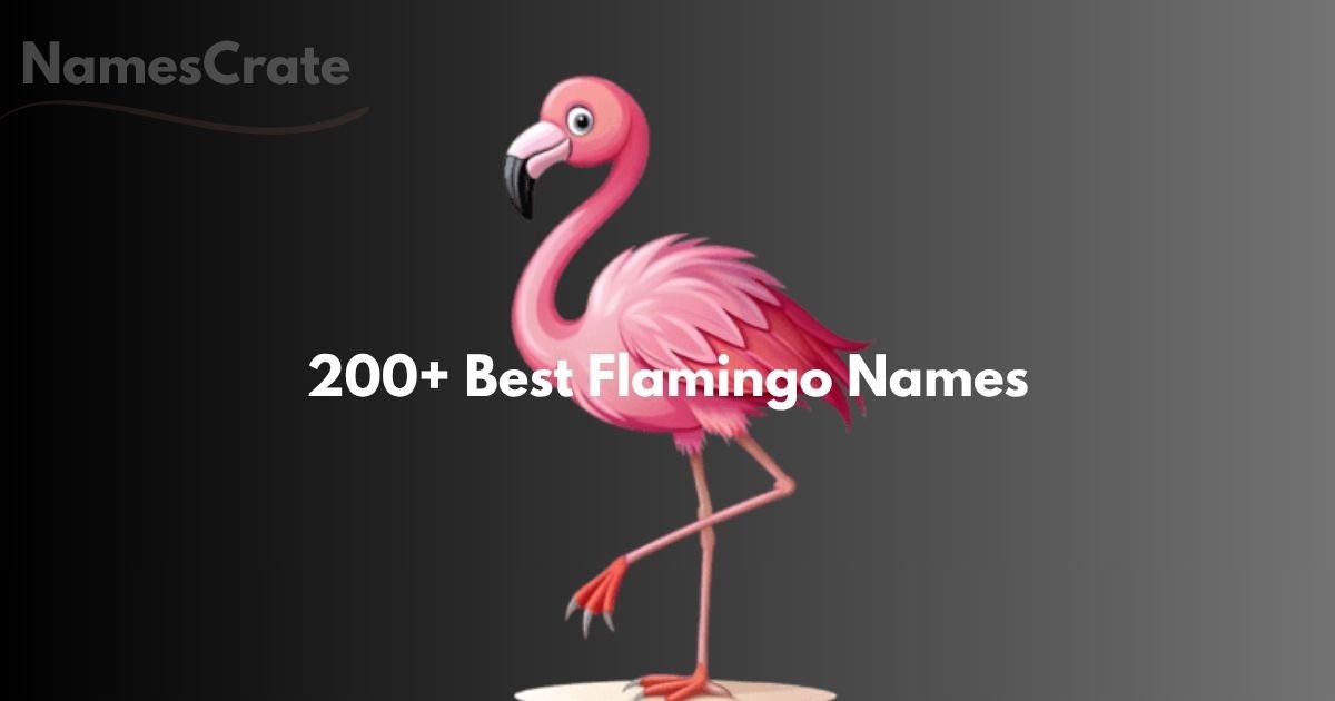 flamingo names