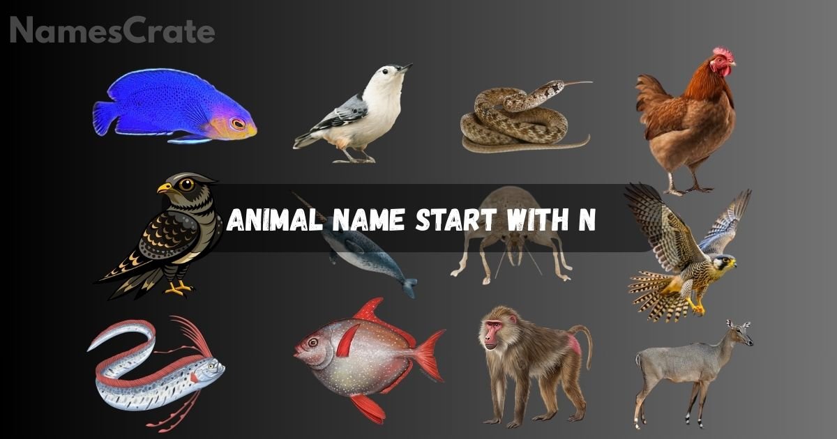 Animal Name Start With N