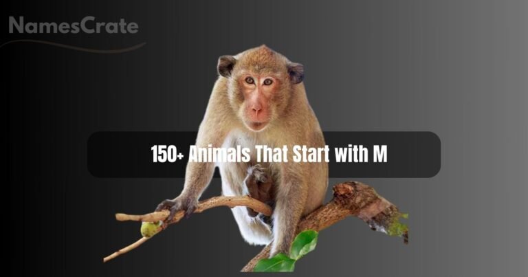 Animals That Start with M