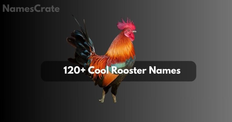 _Cool Rooster Names