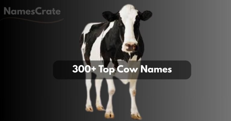Cow Names