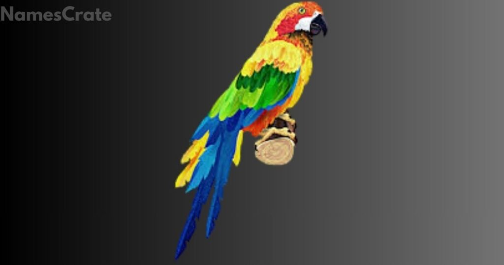 Female Parrot Names 