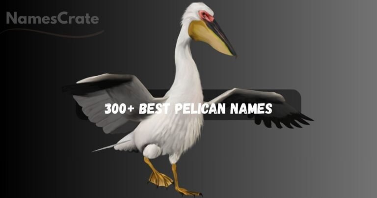 Pelican Names