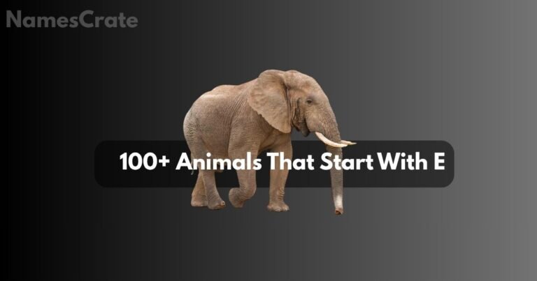 animals that start with e