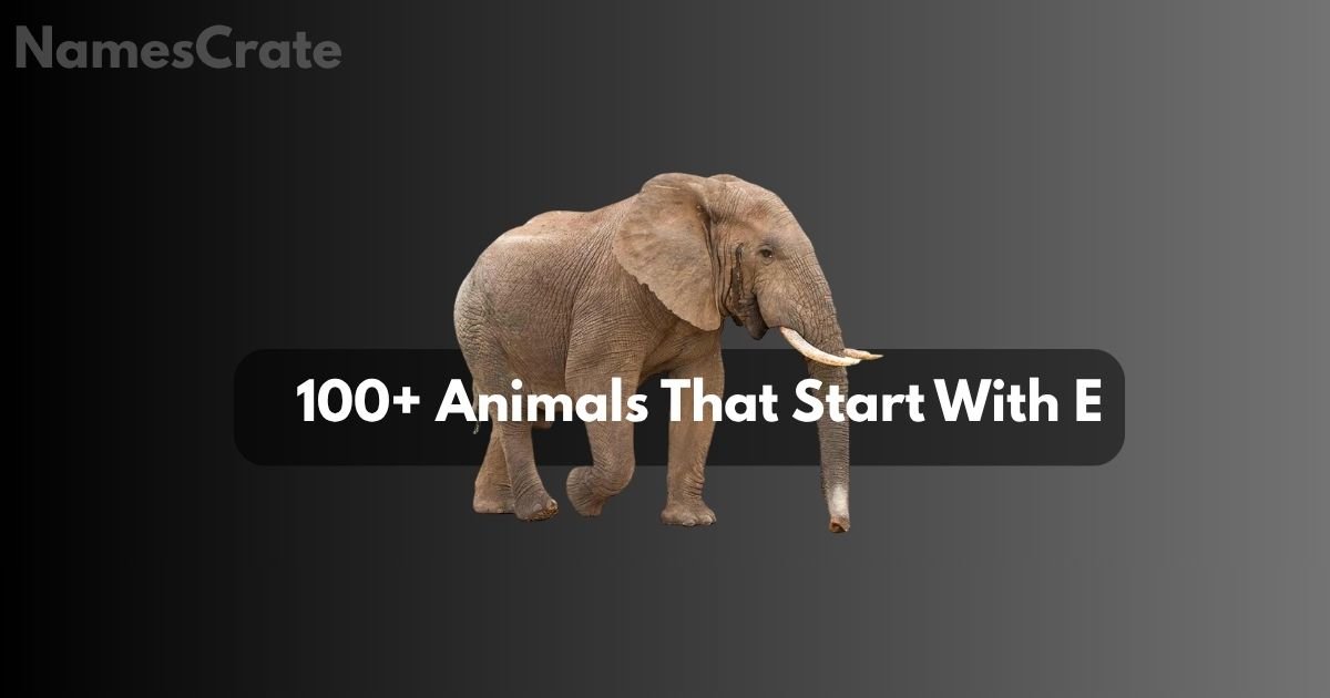 animals that start with e