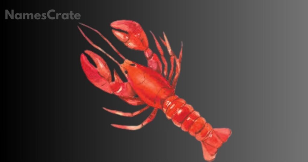 Cool Lobster Names