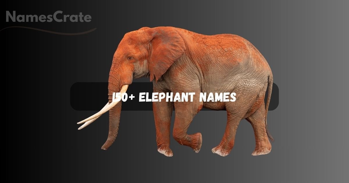 Elephant Names