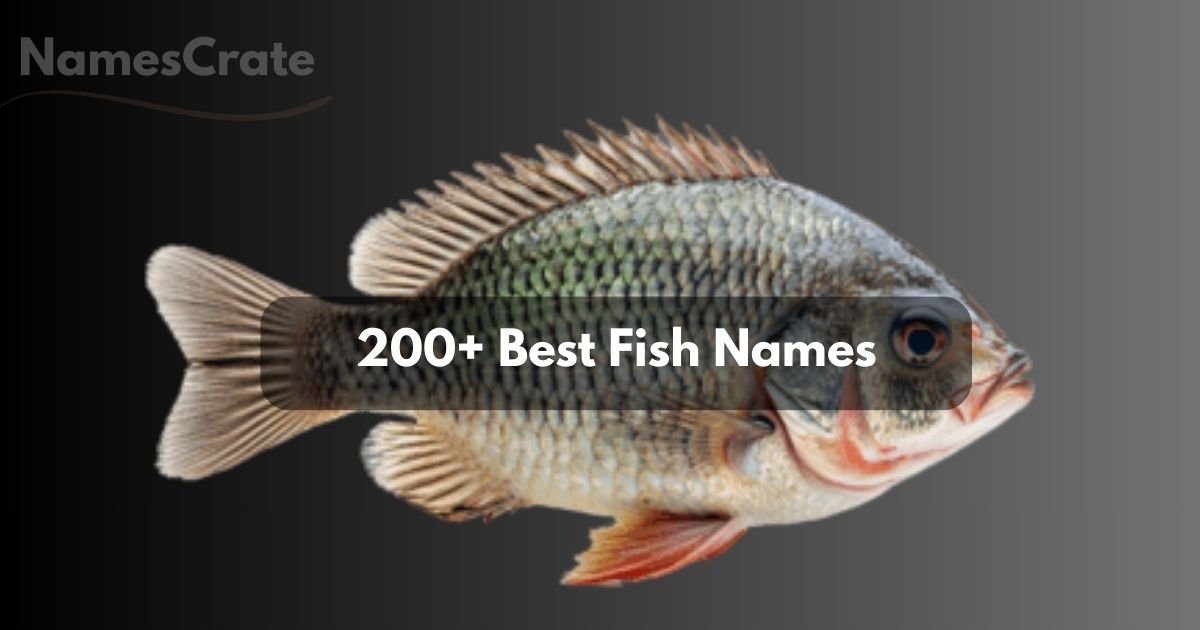 Fish Names