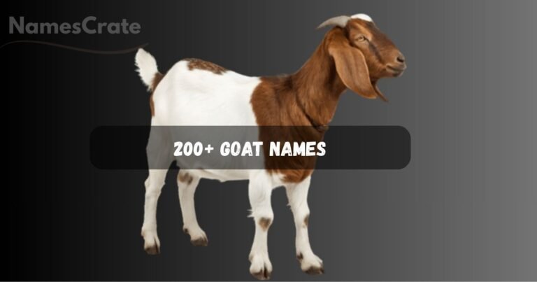 Goat Names