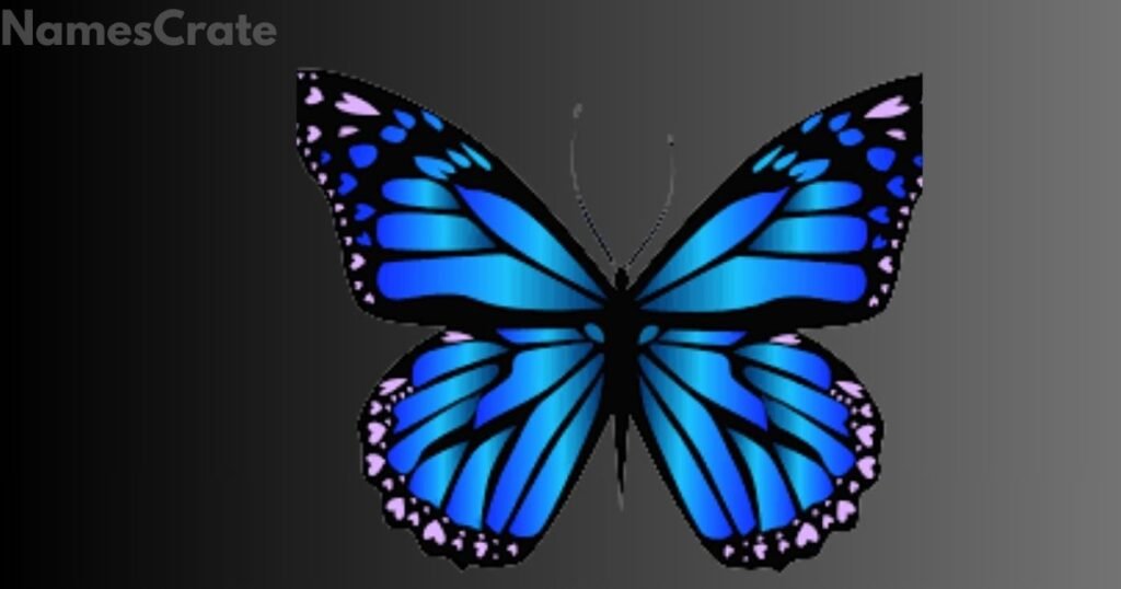 Insect Names that Start With B