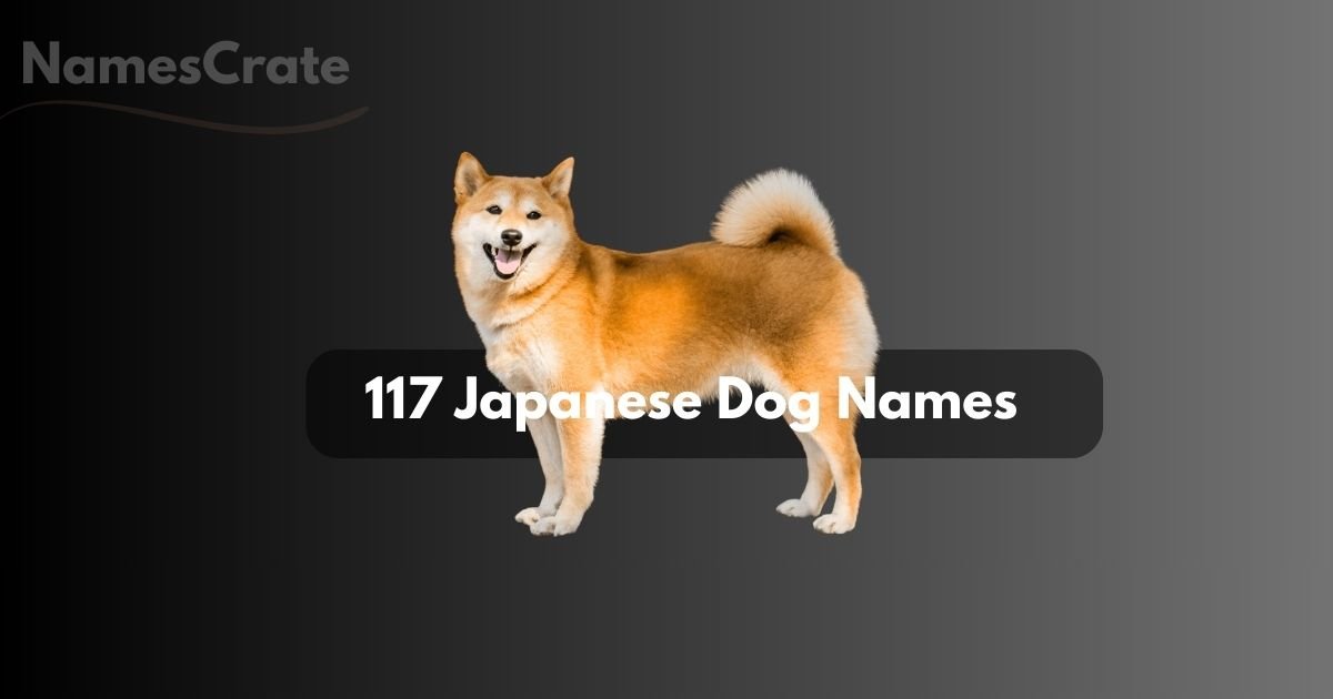 Japanese Dog Names