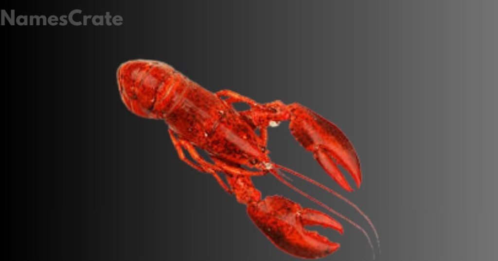 Lobster Names with Meaning