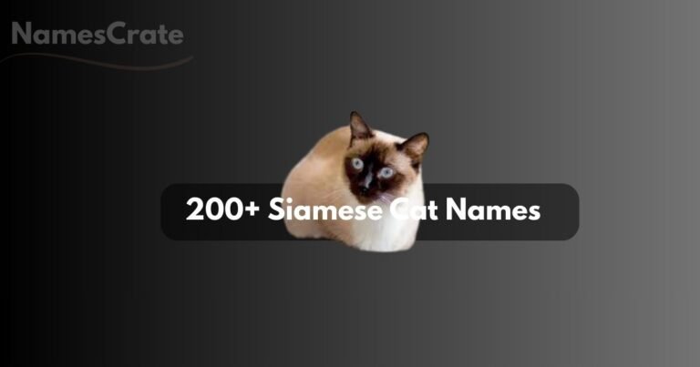 Siamese Cat Names