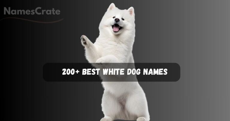 White Dog Names