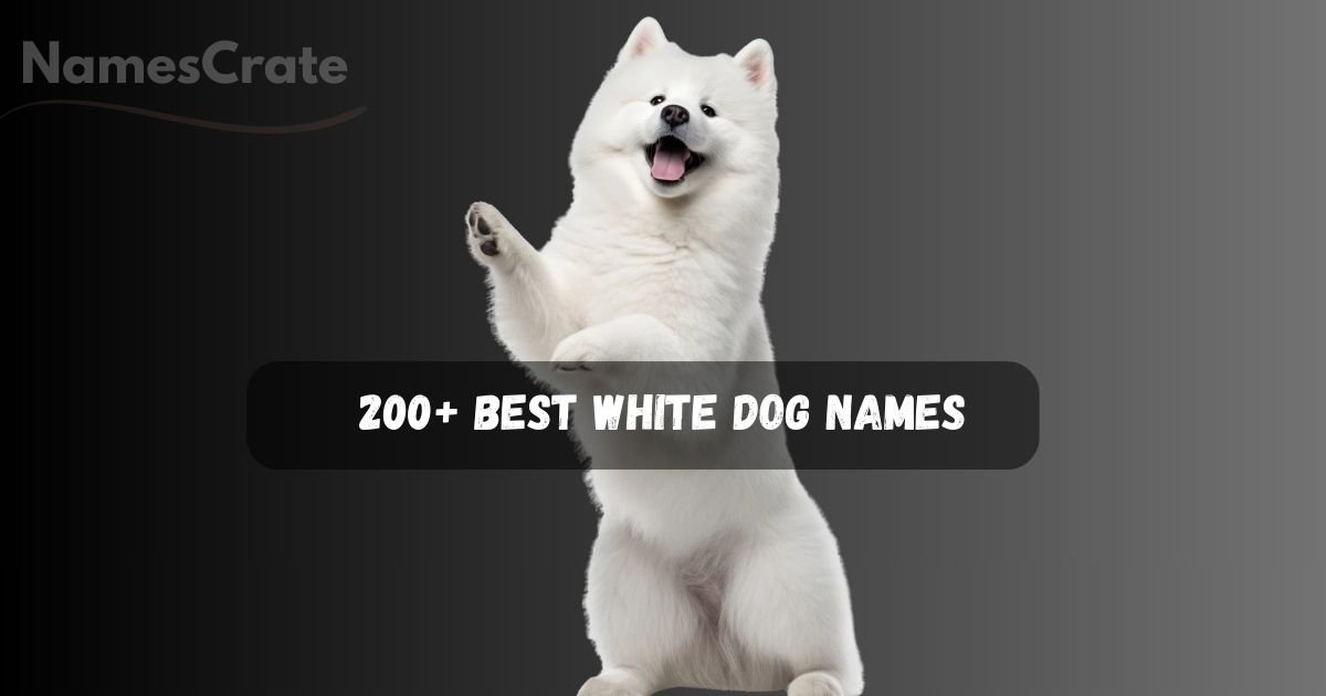 White Dog Names