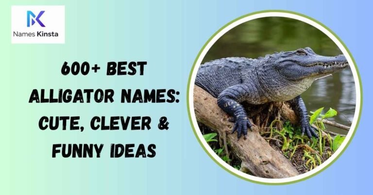 Alligator Names